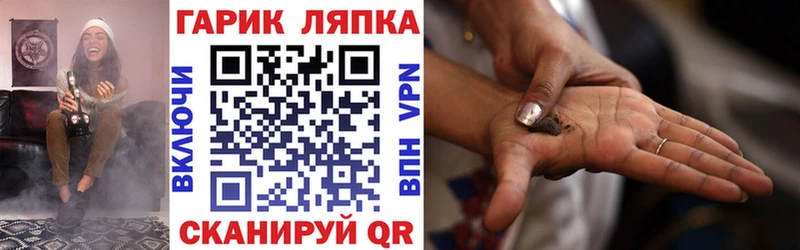 ГАШ гарик Новоаннинский