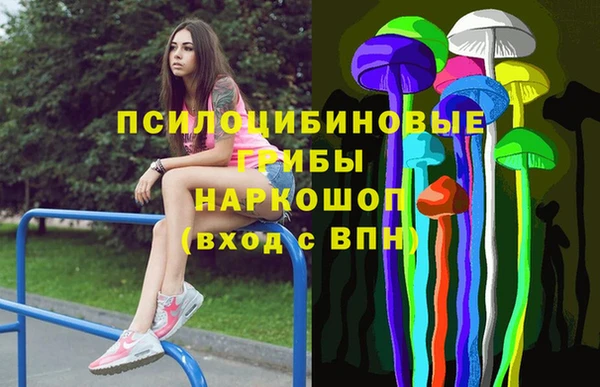 стафф Абинск