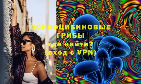 мдпв Алексин
