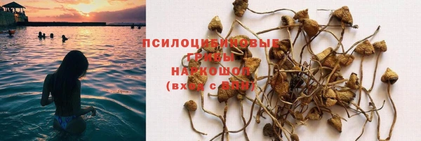 стафф Абинск
