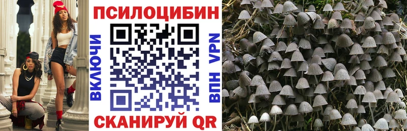 это формула  Новоаннинский  Галлюциногенные грибы Magic Shrooms 